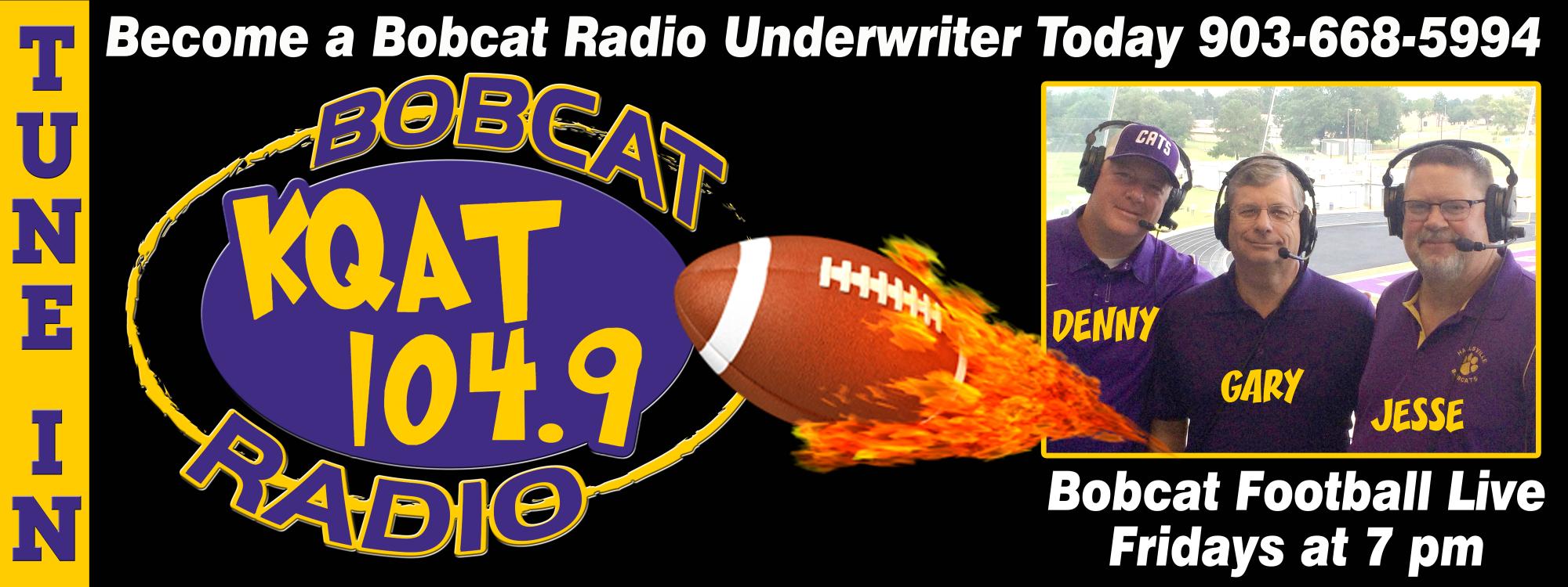 Fundraising Company, Fundraising ideas, Promotional Materials